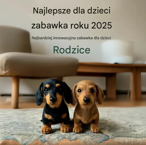 [🎉Ekskluzywna oferta dla członków]🐶 The Dachys – Emocjonalne ukojenie na każde zawołanie 💛