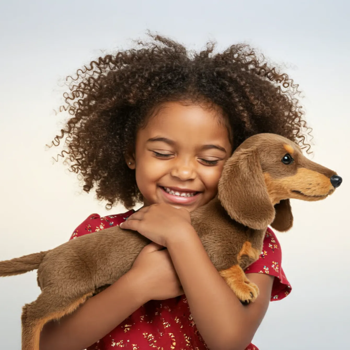 [🎉Ekskluzywna oferta dla członków]🐶 The Dachys – Emocjonalne ukojenie na każde zawołanie 💛