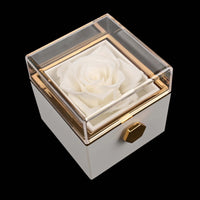 Bílá