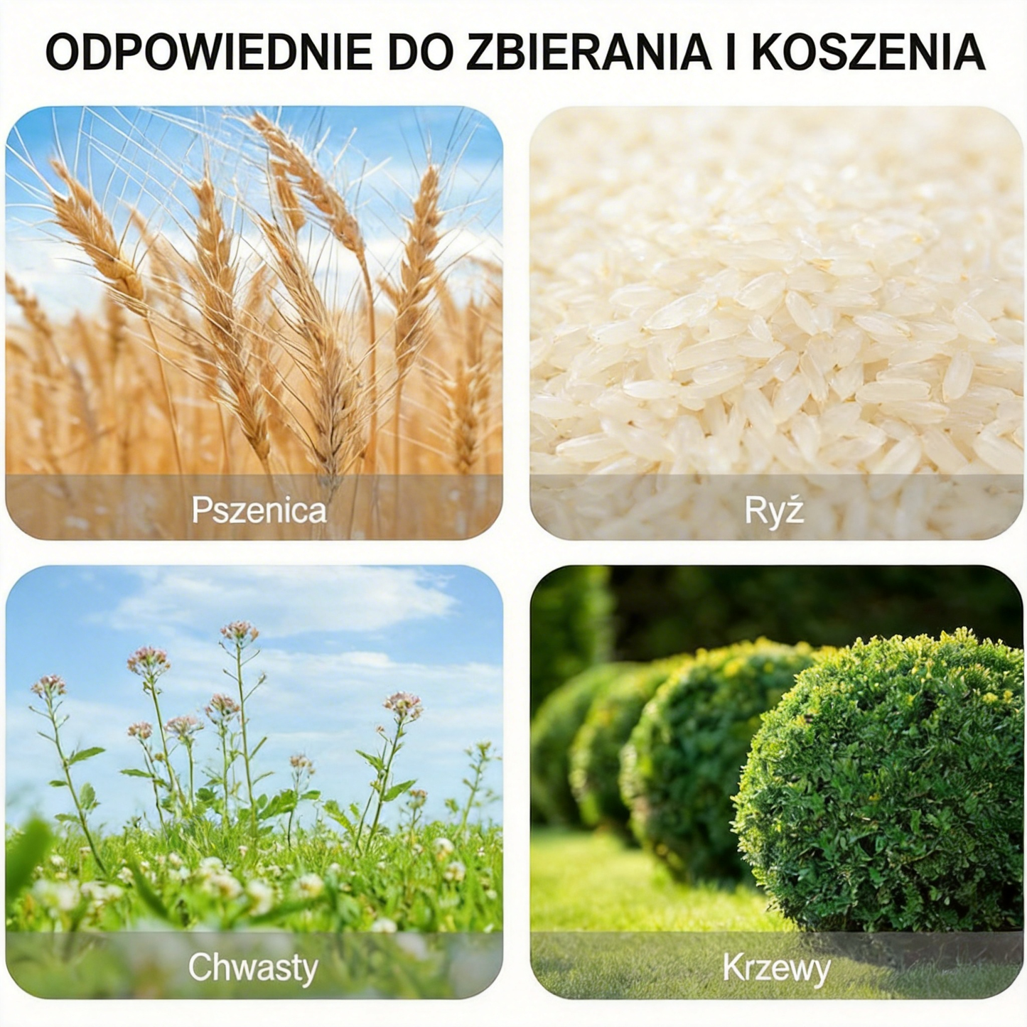[🎉 Ekskluzywne dla członków ]Wzmocnione i trwałe uniwersalne 6-ostrzowe ostrze do kosiarki 🌿 mocne koszenie trawy i zarośli, ostre i wydajne 💪🔥